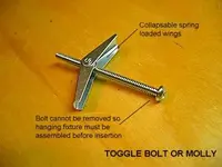 toggle_molly.webp