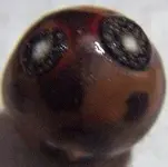 Marble 001.webp