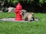 thumbnailCA84VJJ7.webp