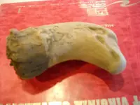 DSCN0585.webp