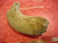 DSCN0586.webp