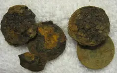 steel cents.webp