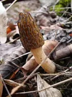 MINE hike 010.webp