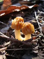 MINE hike 013.webp