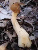 MINE hike 019.webp