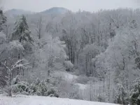 DSC00660.webp