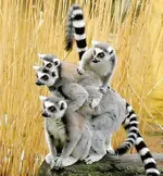 !cid_1B2AF423D0754907B8C75486AF260167@sparkyone.webp