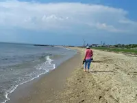 Beachcombing_edited-1.webp