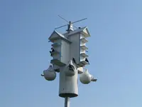 Purple Martins.webp