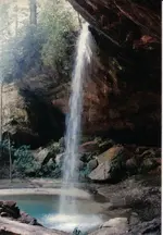 192.webp