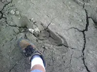 1023070912.webp