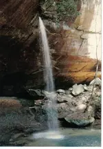191.webp