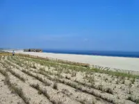 WW2Gunnery_edited-1.webp