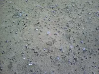 1023070937a.webp