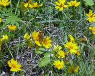 DSCN0102.webp
