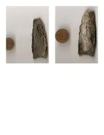 clovis maybe.webp