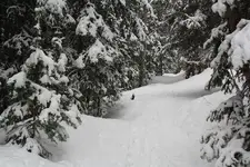 uppertenmile.webp