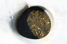 IMG_1413.webp