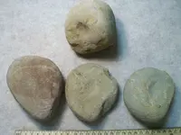 nutting stones.webp