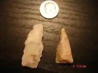 DSC03480.webp