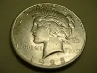 dollar 006.webp