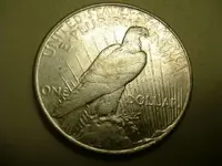 dollar 007.webp