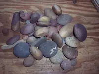 100_4625.webp