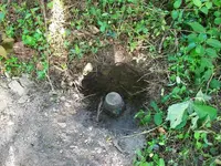 100_0454 (1).webp