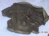 DSCN6372.webp