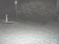 329earlyam.webp