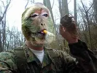 monkeyboy.webp