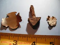 DSCF0057.webp