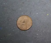 error wheatie.webp