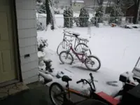 3-29-09 snow.webp