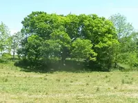 P5220027.webp P5220027.webp