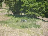 P5220036.webp P5220036.webp