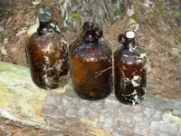 DSCN2180.webp