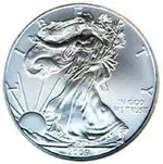 2009-silver-eagle.webp