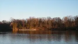 whats up dock.webp