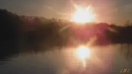 sunset glare.webp