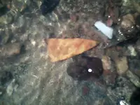 0318091544[1].webp