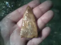 0318091546[1].webp