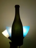 green bottle.webp