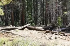 cabin.webp