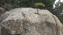 004 small.webp