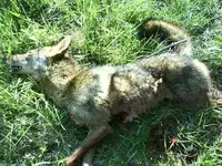 jspn_DSC00066.webp
