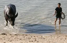ScreenShot046.webp