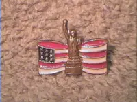 FLAG_PIN_1.webp