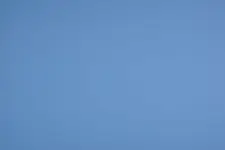 Osprey 01.webp