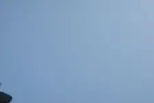 Osprey 02.webp